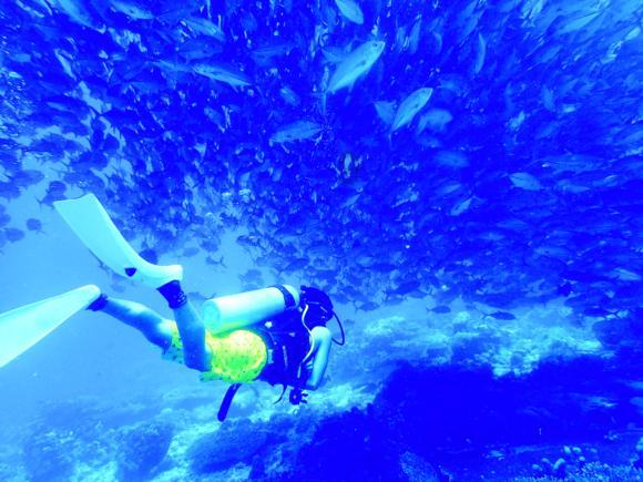 “探索知识星球平台,加入快看点2020获得独家深度学习”