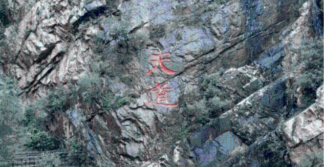 养鸡人乘坐山地车喂鸡,省时又省力