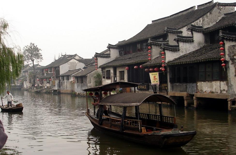 动物帮帮忙保卫家园